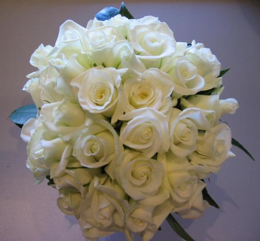 white roses flowers wallpapers (4)